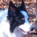 Skye was adopted in November, 2013